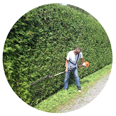 Hedges trimming executed by Les As de la Coupe